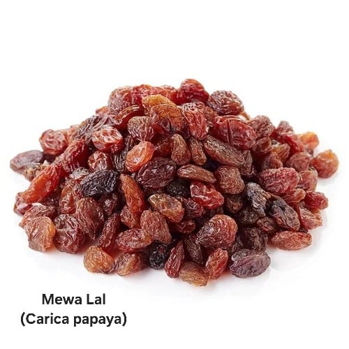 WhatsApp Image 2025-04-04 at 11.57.51 AM (2).jpeg